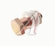 notify_thumb
